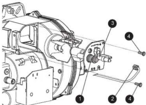 FERROLI Atlas D Eco Si Unit - Toegang tot de elektrode en sproeier - 1