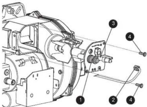 FERROLI Atlas D Eco Si Unit - Accessing the electrode and nozzle - 1