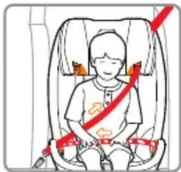 Foppapedretti Tourist - Installazione del seggiolino auto del Gruppo II/III per bambini di peso compreso tra 15 e 36 kg, con la cintura di sicurezza a tre puniti - 6
