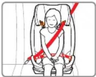 Foppapedretti Tourist - INSTALLING THE CAR SEAT IN THE VEHICLE - 2