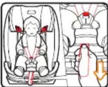 Foppapedretti Tourist - Harness usE - Group 1 (from 9 to 18 kg ) - 4