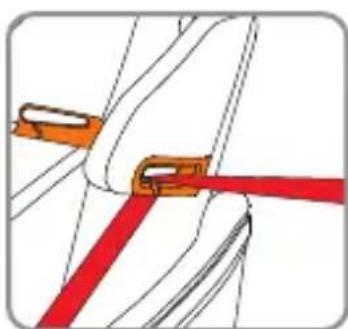 Foppapedretti Tourist - Installation with the vehicle 3-point seat belt. - 2