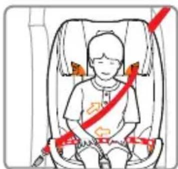 Foppapedretti Tourist - Installation with the vehicle 3-point seat belt. - 5