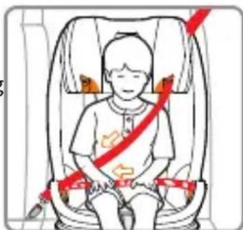 Foppapedretti Tourist - Installation with the vehicle 3-point seat belt. - 3