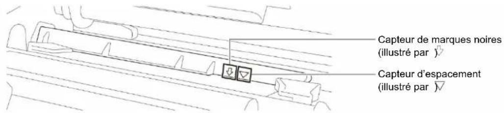 BROTHER TJ4520TN - Chargement du support en mode Cutter (En option pour TJ-4420TN/TJ-4520TN/TJ-4620TN) - 6