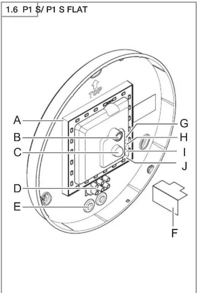 STEINEL RS PRO P2 S - P1 S FLAT / P2 S FLAT - 12