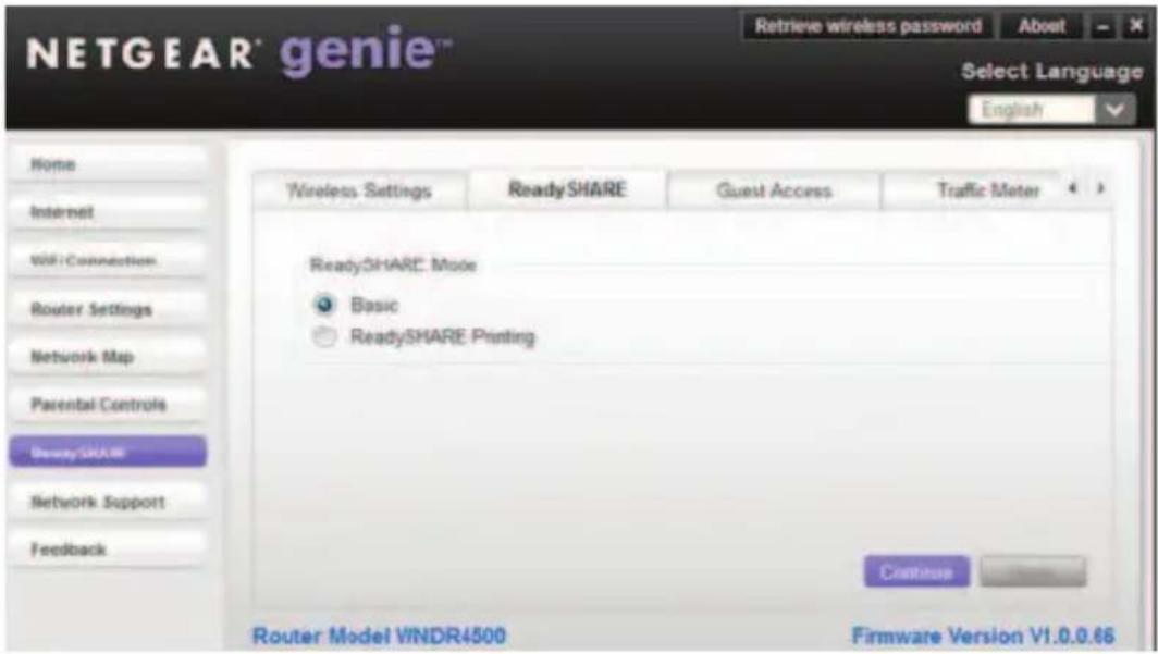 NETGEAR ProSafe R4500 - Conditions - 2