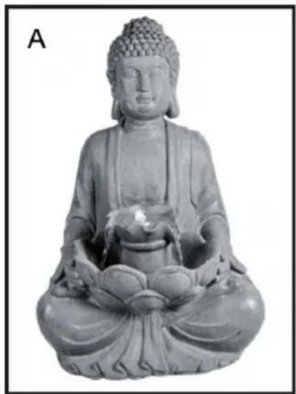 Blumfeldt Dharma - CONTENIDO DEL ENVÍO - 2