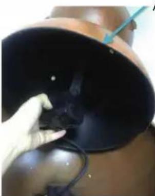 Blumfeldt Windflower - Importador para Gran Bretaña: - 4
