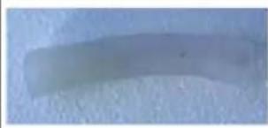 Blumfeldt Eterna - Importador para Gran Bretaña: - 1