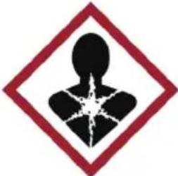 Blumfeldt Fiamme Circulo - Précautions particulières de sécurité - 11