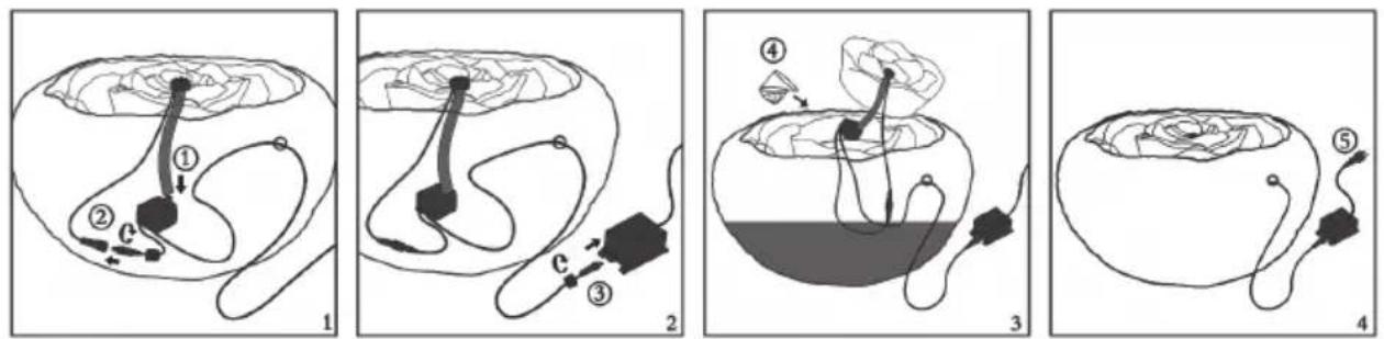 Blumfeldt Niagara - Assemblage - 2