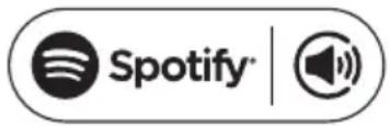 Auna Blackstar Amp - Il tuo nuovo dispositivo ha Spotify Connect - 1