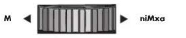 FELLOWES Encuadernadora Galaxy Wire - ANTES DE ENCUADERNAR - 2