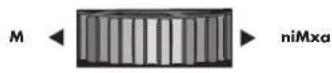 FELLOWES Encuadernadora Galaxy Wire - NEDERLANDS - 6