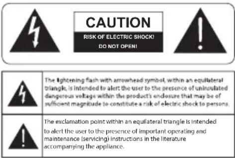DEFINITIVE TECHNOLOGY Descend DN12 - Safety Precautions - 1