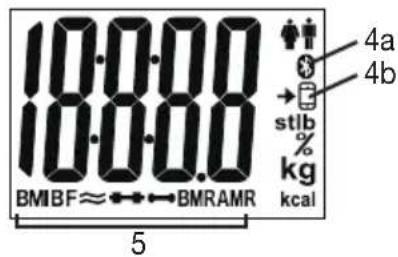 SANITAS SBF 72 - Lato posteriore - 1