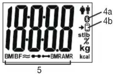 SANITAS SBF 72 - Display - 1