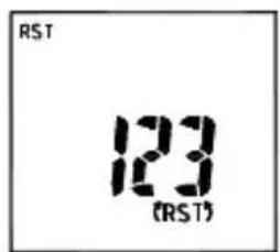 Amprobe ACDC52NAV - The screen will display the result as below: - 2