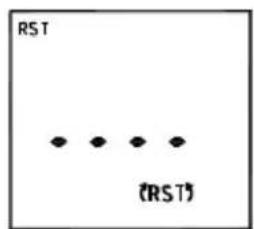 Amprobe ACDC52NAV - The screen will display the result as below: - 1