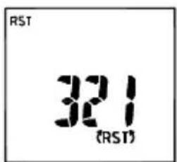 Amprobe ACDC52NAV - Der Bildschirm zeigt das Ergebnis wie folgt an: - 3