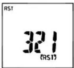 Amprobe ACDC52NAV - The screen will display the result as below: - 3