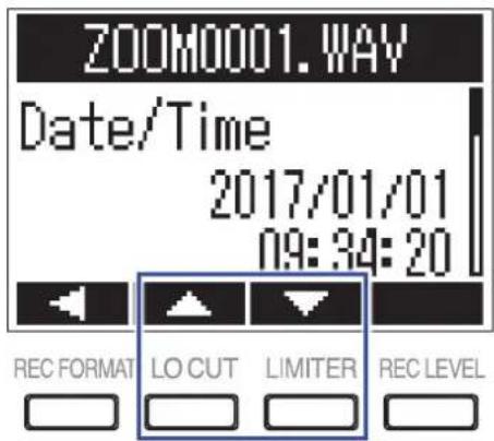 ZOOM F1 - Vérification d'informations sur le fichier - 2