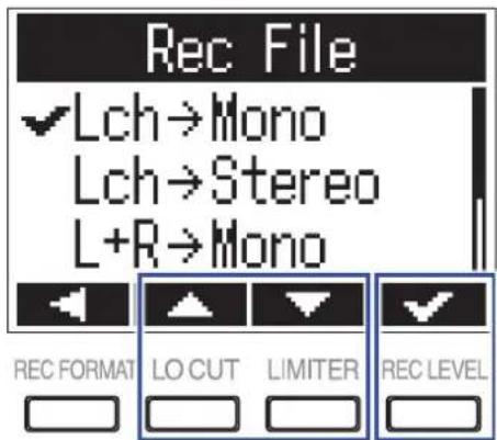 ZOOM F1 - Réglage du type de fichier d'enregistrement - 3