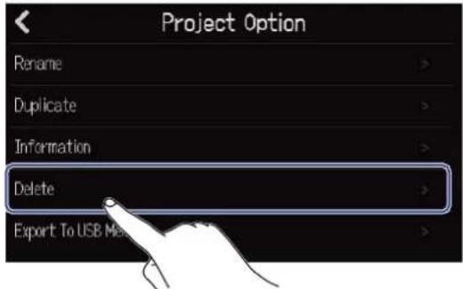 ZOOM R20 - Suppression de projets - 1