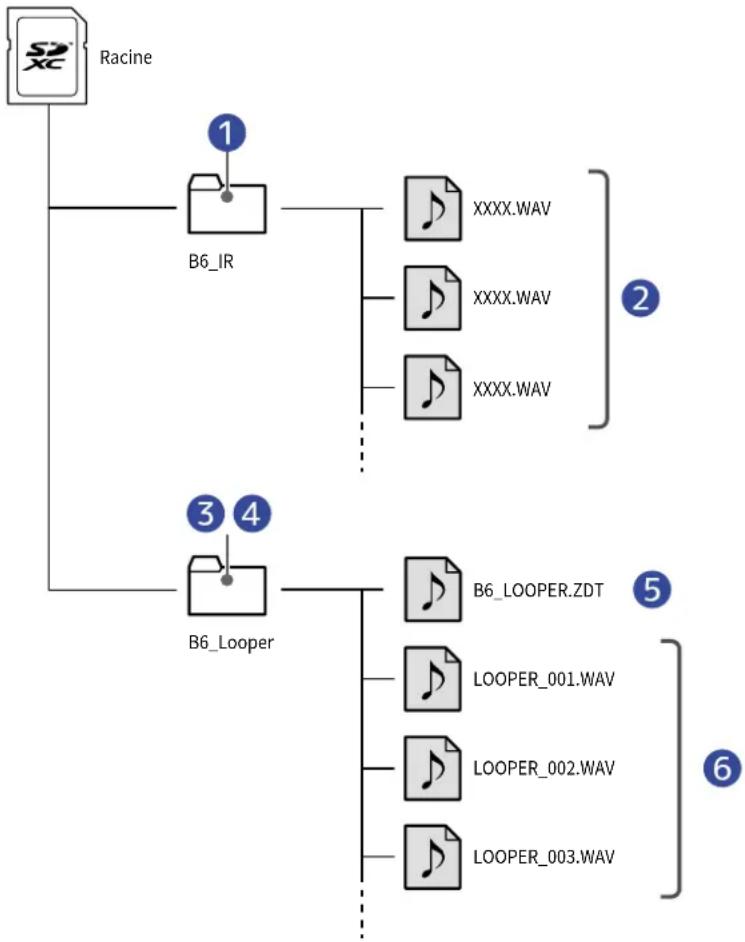 ZOOM B6 - Structure des dossiers et fichiers du B6 - 1
