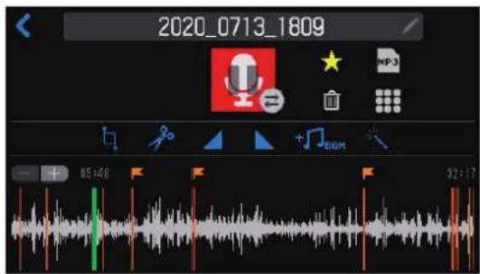 ZOOM PodTrak P8 - Touchez ou pressez - 1