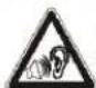 BLAUPUNKT Bremen SQR 46 DAB - Verwendete Symbole - 3