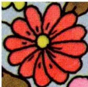 BERNINA Embroidery Software 9 Creator - Commencer par une bonne illustration - 1