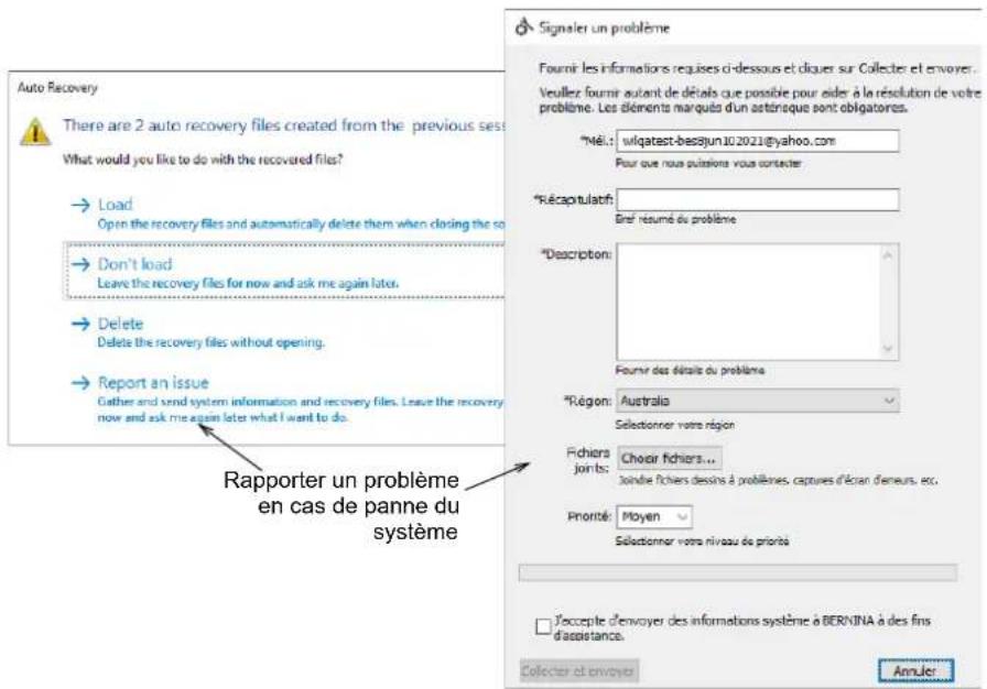 BERNINA Embroidery Software 9 Creator - Rapporteur d'information - 1