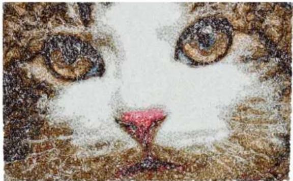 BERNINA Embroidery Software 9 Creator - Conversion photographique - 1