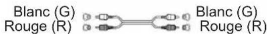 THOMSON TT450BT - Branchements - 2