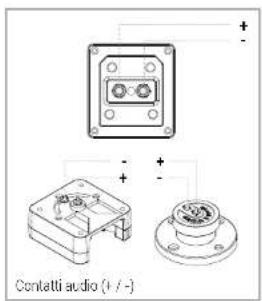Contelli audio (+ / -)