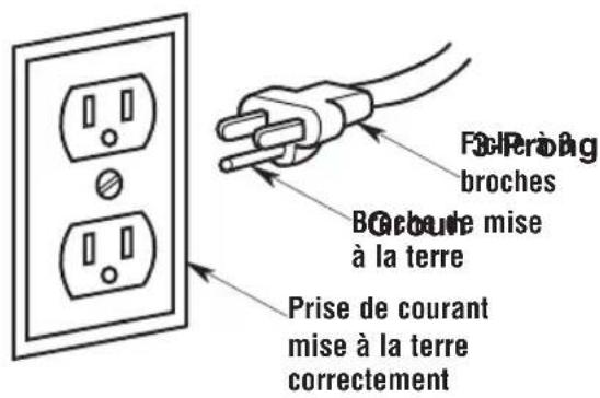 Craftsman CMXEVBE17585 - INSTRUCTIONS RELATIVES À LA MISE À LA TERRE - 1