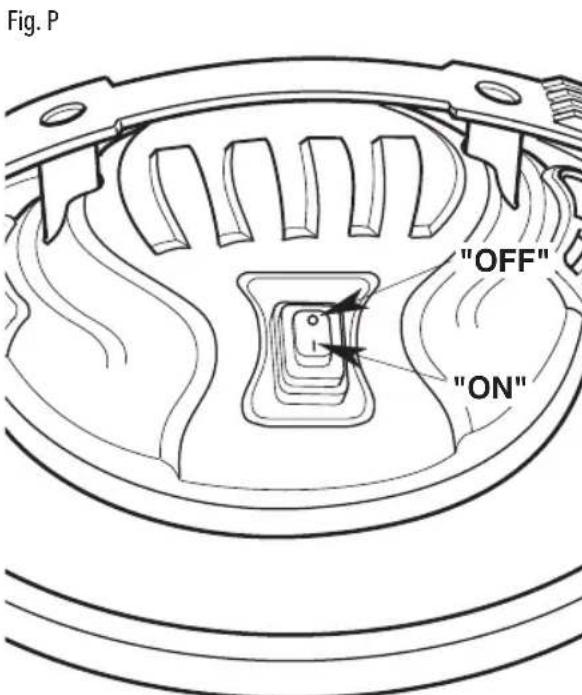 Craftsman CMXEVBE17585 - Motor / Electrical (Fig. P) - 1