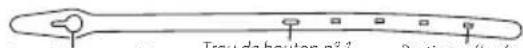 Craftsman CMXEVBCV430L - SANGLE - 1