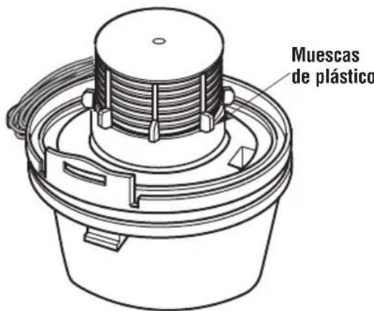 Craftsman CMXEVBE17250 - Remoción y reemplazo del filtro (Fig. Q) - 2