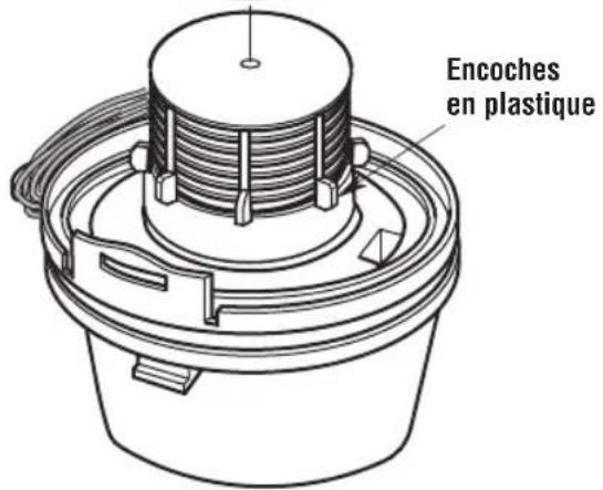 Craftsman CMXEVBE17250 - Retrait et remplacement du filtre (Fig. Q) - 4