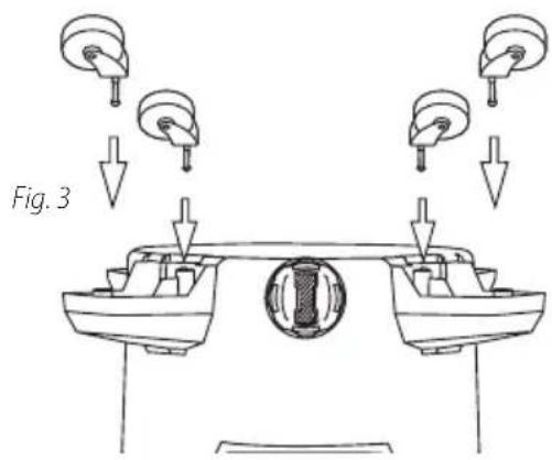 Fig. 3