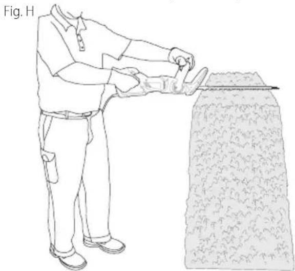 Craftsman CMEHTS822 - Working Position (Fig. H) - 1