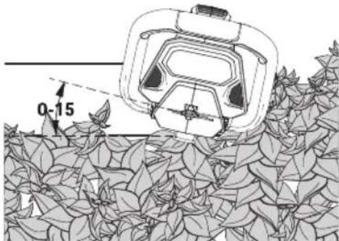 Craftsman CMEHTS824 - Tailler les nouvelles pousses (Fig. I) - 1