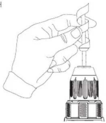 Craftsman CMCD710C1 - Interruptor disparador y botón de avance/reversa (Fig. D) - 1