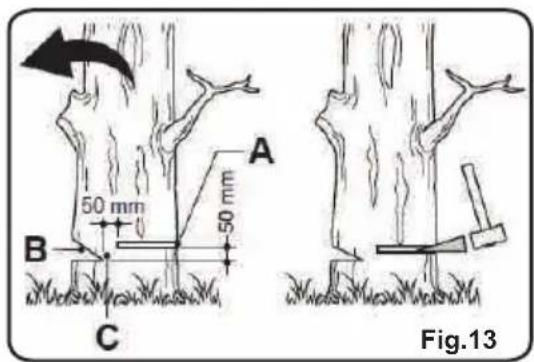 LawnMaster CS1216 - PROCEDURE CORRECTE POUR L'ABATTAGE (voir fig. 13) - 2