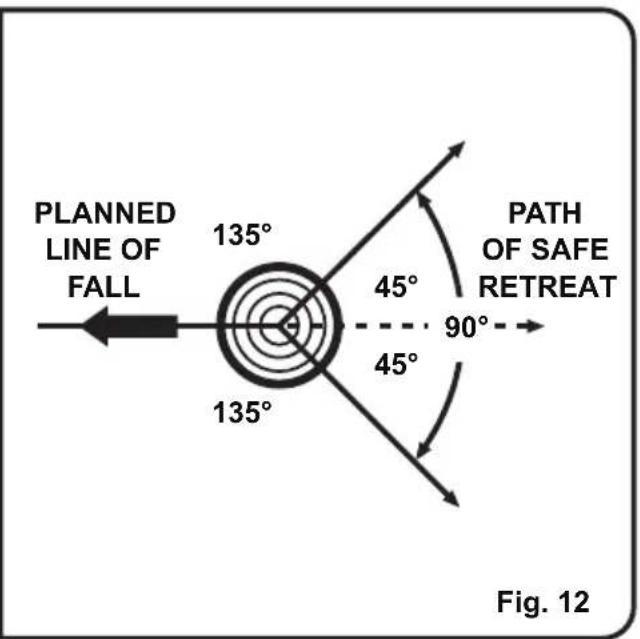 LawnMaster CS1216 - TO AVOID KICKBACK - 2