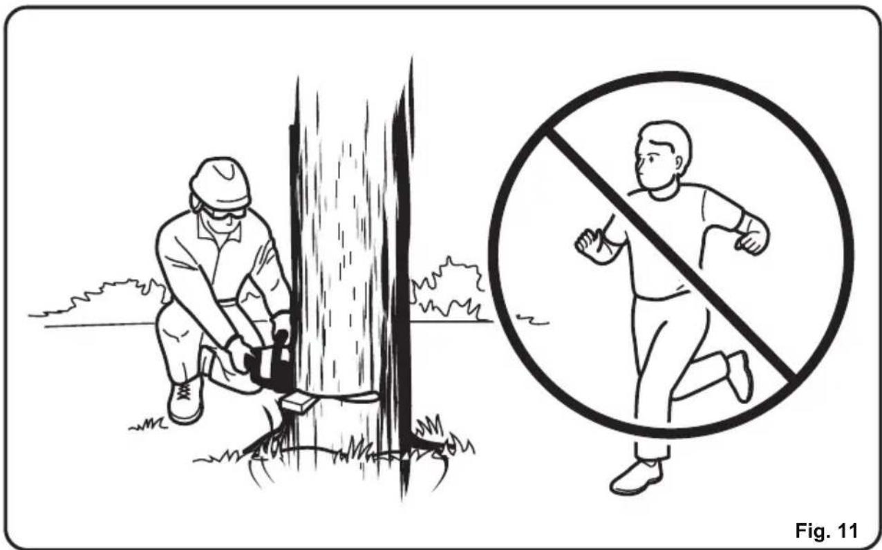 LawnMaster CS1216 - WORK AREA PRECAUTIONS (See Fig.11) - 1