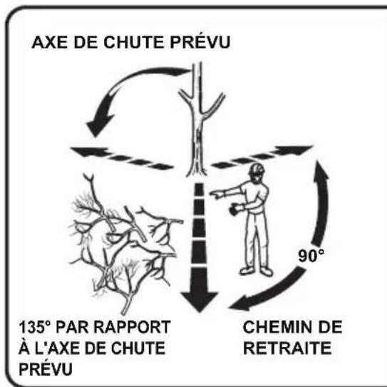 LawnMaster CS1216 - POUR ÉVITER LES REBONDS - 1